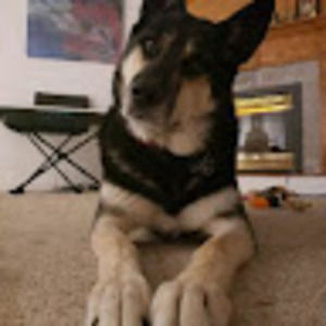 Meet your Posher, Faye